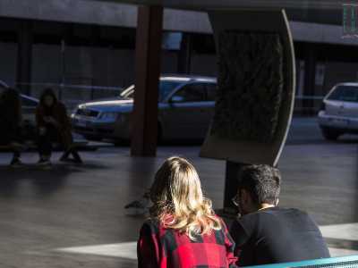 ...e il foglio curvo di bronzo scolpito da Gi� Pomodoro